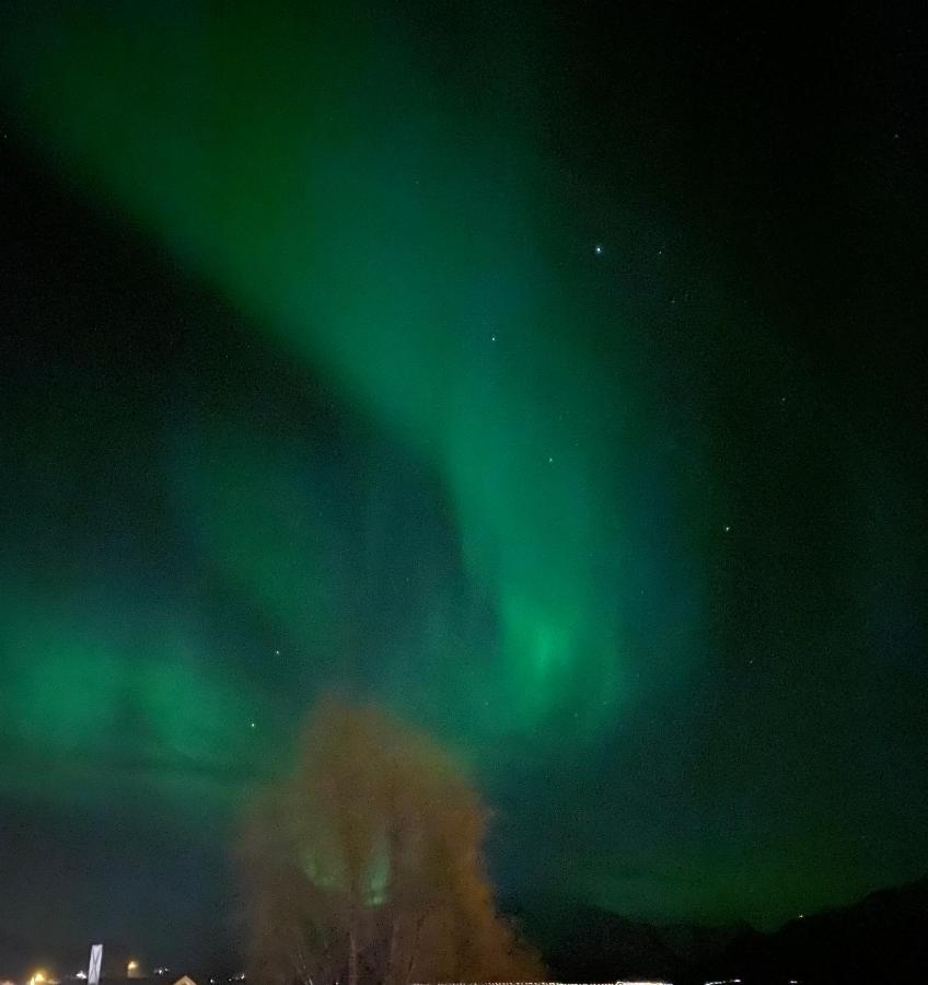 Lyngen, Mackay Appartment, Lyngen Lyngseidet Exterior foto
